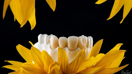 Dentaris Multispeciality Dental Clinic - Logo