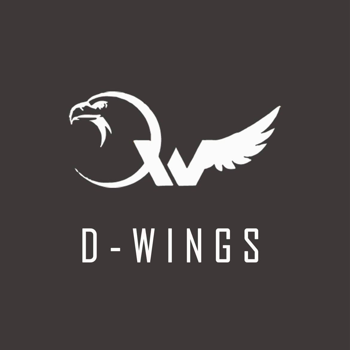 Design Wings Logo