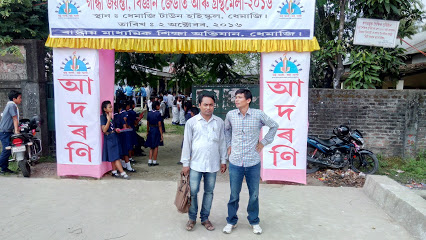 Dhemaji Town High School Logo