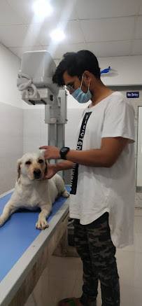DiagnoVet Animal Pathology Lab Meerut - Veterinary in Meerut | Joon Square