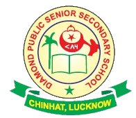 Diamond Public Sr. Sec. School|Colleges|Education