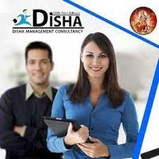 Disha Management consultancy Professional Services | Accounting Services