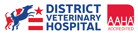 District Veterinary Centre Logo