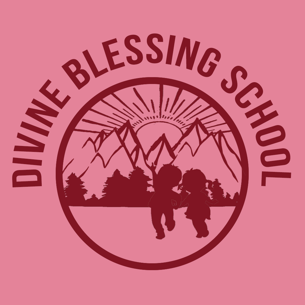 Divine Blessing School|Colleges|Education
