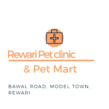 Dog And Cat Clinic Rewari|Hospitals|Medical Services