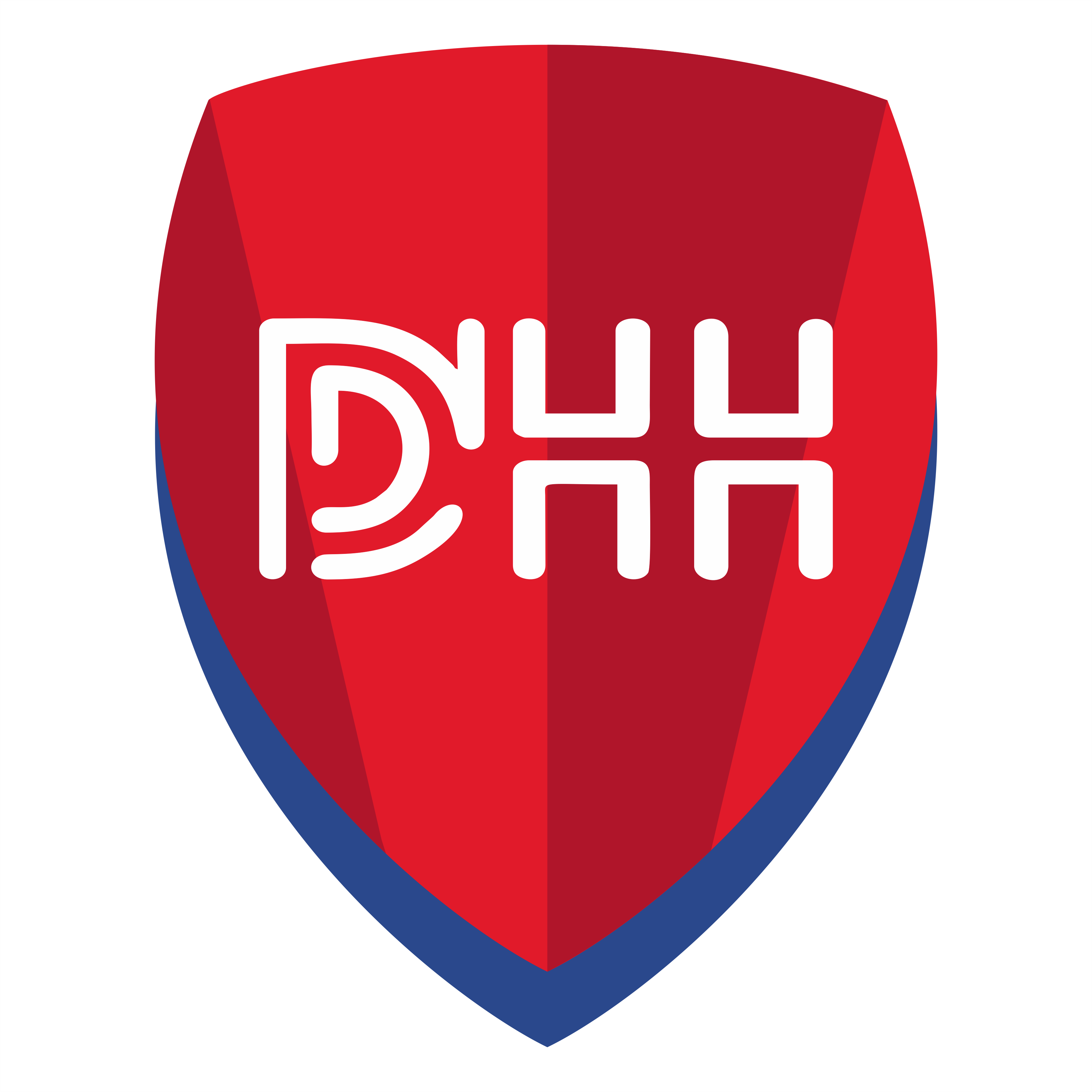 Dolphin Head Hunters|Education Consultants|Education