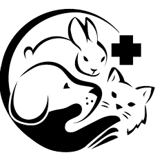 Domesticity Pet Care Clinic Logo