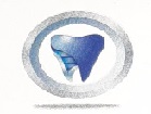 Dr.Arya's Dental Clinic Logo