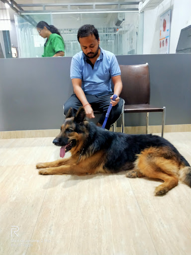 Dr Chariar's Pets Speciality Clinic Thane - Veterinary in Thane | Joon  Square