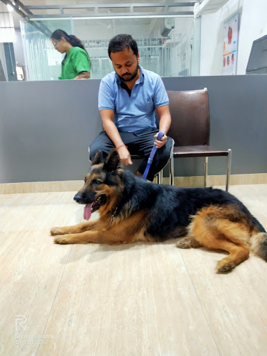 Dr Chariars Pets Speciality Clinic Medical Services | Veterinary