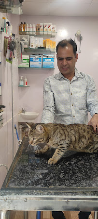 Dr.Harish Garhwal Pet Clinic Medical Services | Veterinary