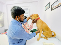 Dr Indrajit Patra Medical Services | Veterinary