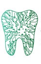 Dr Jha's Digital Dentistrry Logo