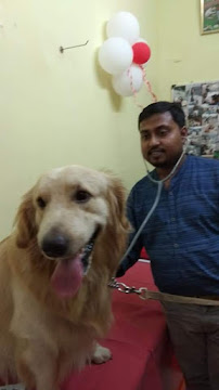 Dr Kaustav Basu vet Medical Services | Veterinary