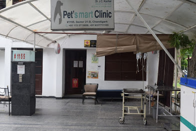 Dr Kochar's Pet's Mart Clinic|Hospitals|Medical Services