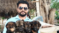 Dr.Sisodiyas Veterinary Clinic Medical Services | Veterinary