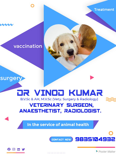 Dr. Vinod Kumar - Logo