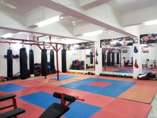Dream Fitness Academy Active Life | Gym and Fitness Centre