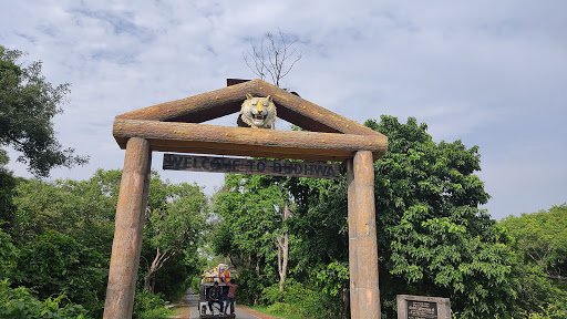 Dudhwa National Park Travel | Zoo and Wildlife Sanctuary 