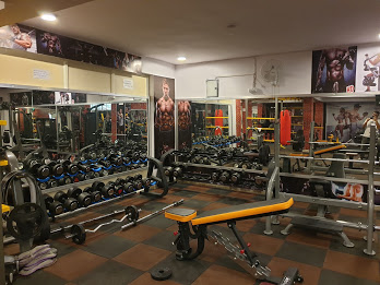 DVS Fitness Gym Active Life | Gym and Fitness Centre