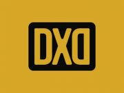 DXD Architects|Architect|Professional Services