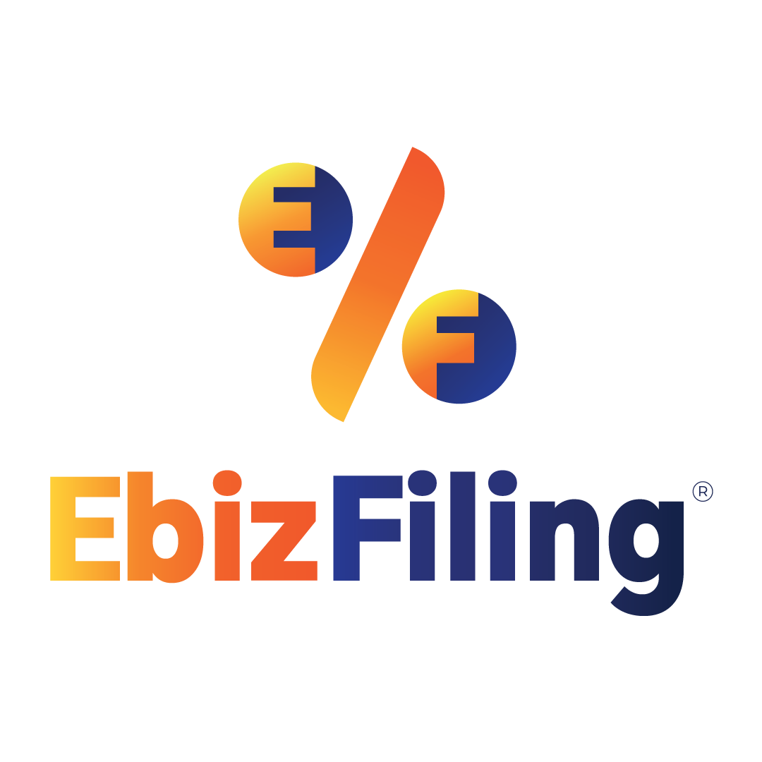 Ebizfiling India Pvt Ltd|Accounting Services|Professional Services