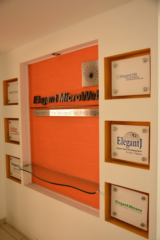 Elegant MicroWeb Technologies Pvt. Ltd. Professional Services | IT Services