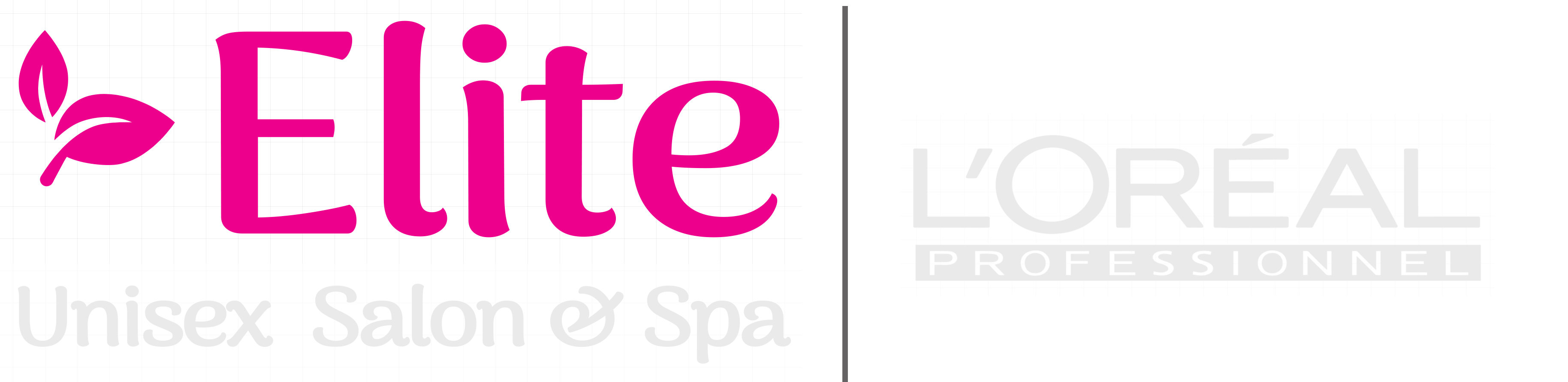 Elite Unisex Saloon and Spa Logo