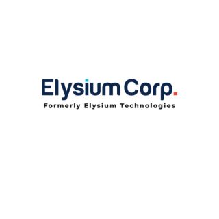 Elysium Technologies Private Limited|IT Services|Professional Services