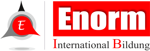 Enorm Visa Consultancy Logo