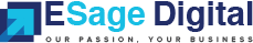 ESage IT Services Pvt Ltd|IT Services|Professional Services