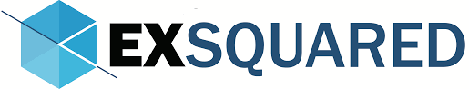 EX Squared Solutions India Pvt Ltd Logo