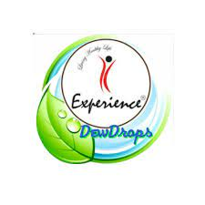 Experience Logo