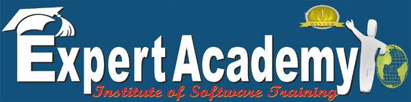 Expert Academy - Logo