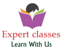 Expert Classes Logo