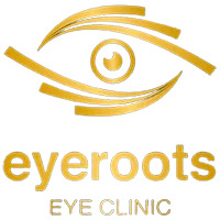 Eyeroots Eye Clinic|Healthcare|Medical Services
