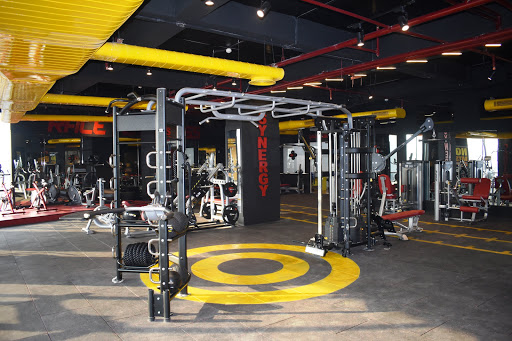 F1 Fitness Gym Active Life | Gym and Fitness Centre