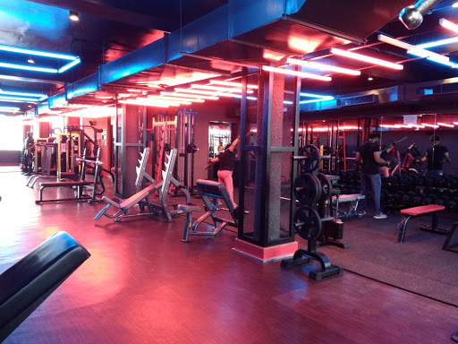 F360 Gym Active Life | Gym and Fitness Centre