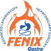 Fenix Gastro Hospital|Dentists|Medical Services