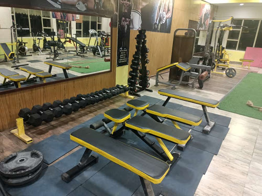 Fitness Hub By Treeoise Resort, Baddi Active Life | Gym and Fitness Centre