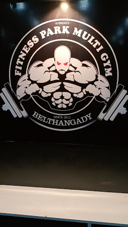 Fitness park multi gym Logo