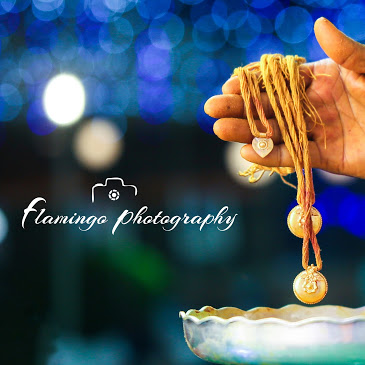 Flamingo Photography Event Services | Photographer