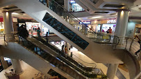 Forum Courtyard Mall Shopping | Mall