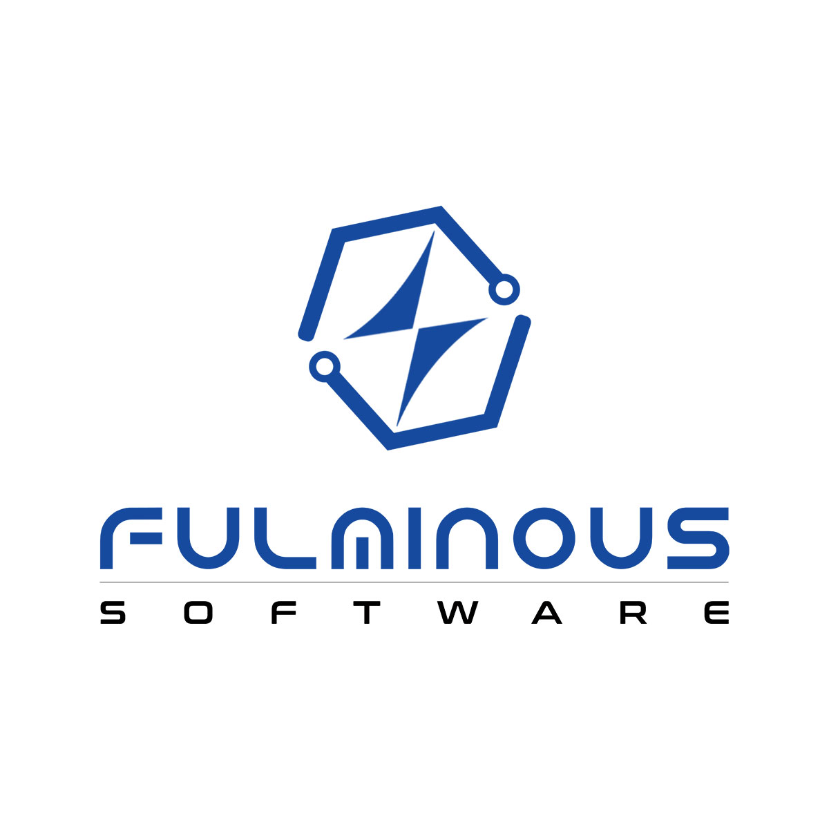 Fulminous Software|Accounting Services|Professional Services