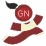 G. N. International School - Logo
