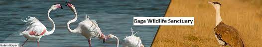 Gaga Wildlife Sanctuary Logo