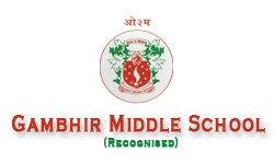 Gambhir Middle School|Colleges|Education