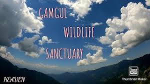 gamgul siyabehi wildlife sanctuary - Logo