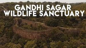 Gandhi Sagar Sanctuary - Logo