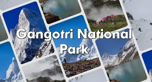 Gangotri National Park Logo